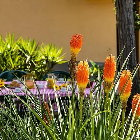 Casa Damiano * Chianni