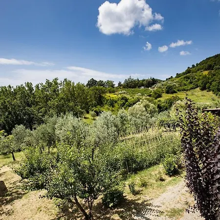 Casa Damiano * Chianni